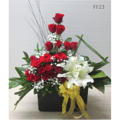 FF23