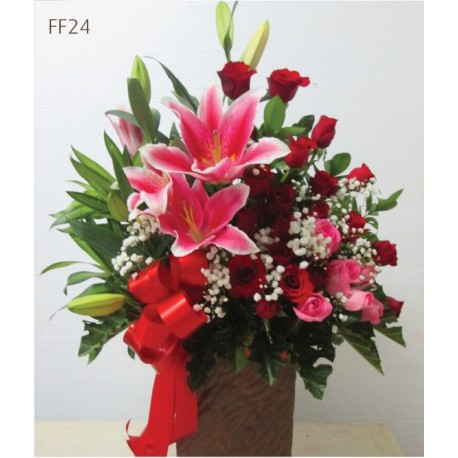 FF24